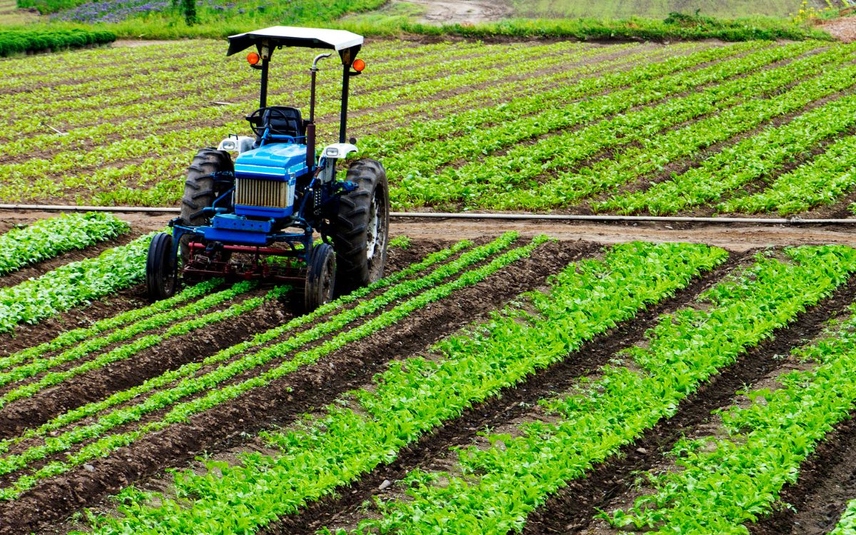 maquinària agrícola 